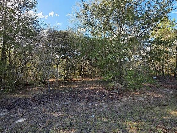 3rd image of Locust Loop Cir Lot 18