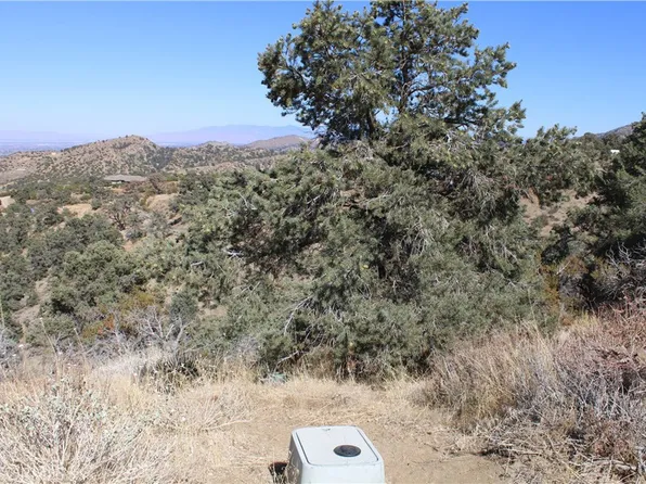 7935 Scenic Dr, Pinon Hills, CA 92372