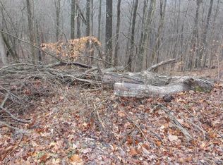 0 Savannah Dr LOT 17&18, Smithville, TN 37166