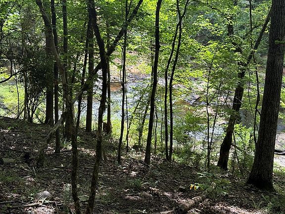 4th image of 555 Mountainbrook Rd