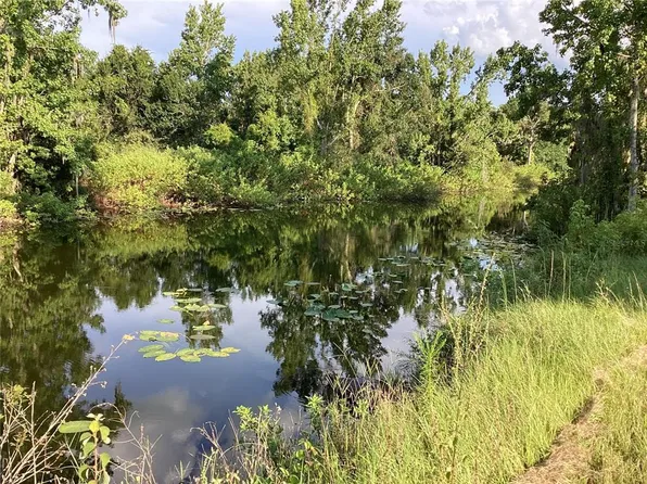 0 ALTON CARLTON ROAD, WAUCHULA, FL 33873