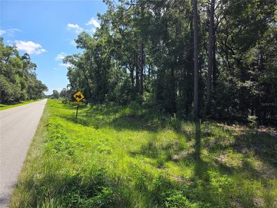 0 SE 32nd Pl, Morriston, FL, 32668