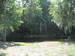 View of backyard canal