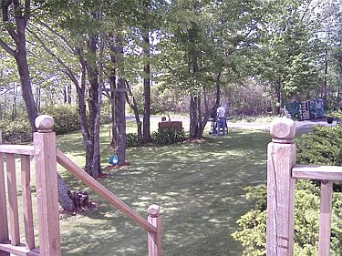 Front yard