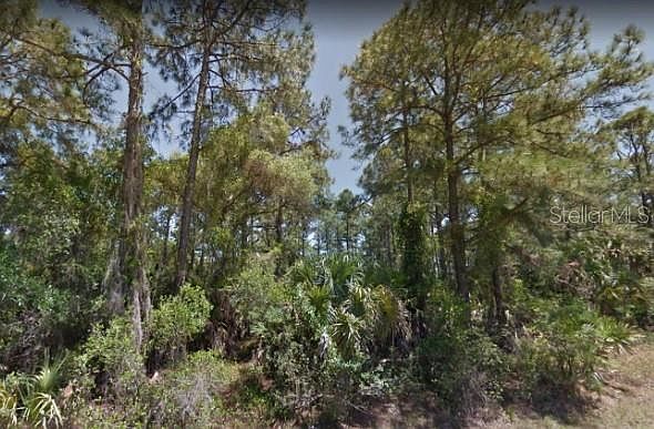 1st image of 56 Pompano St #3