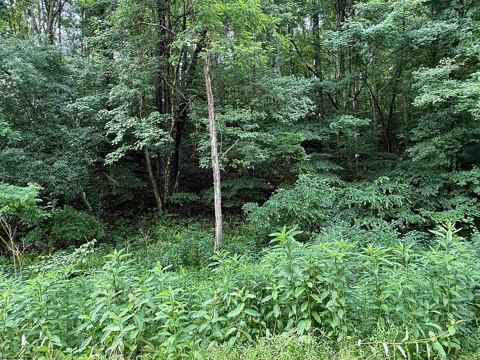 2nd image of 0 Oak Dr