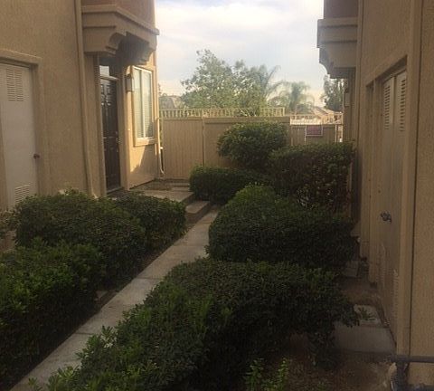 2nd image of 26957 Hillsborough Pkwy Unit 49