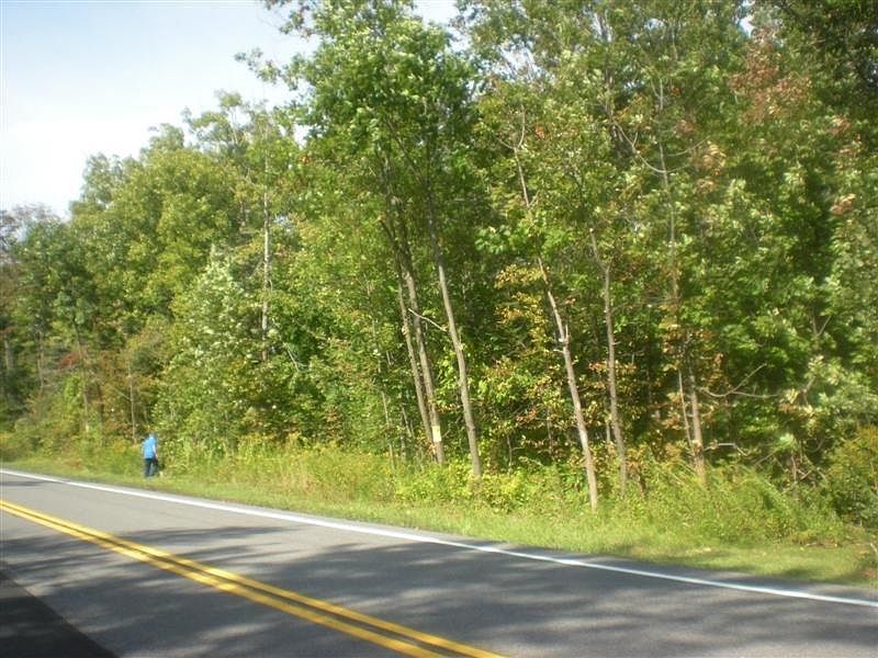2nd image of Skylinedrive
