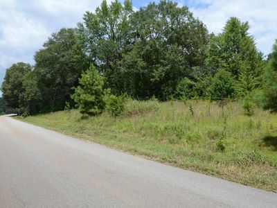 2505 Old Downing Mill Rd, Anniston, AL, 36207