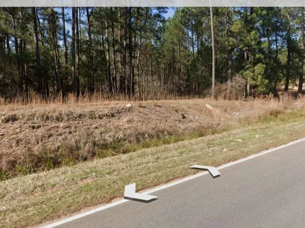 1828 Dixon Rd, Roberta, GA 31078