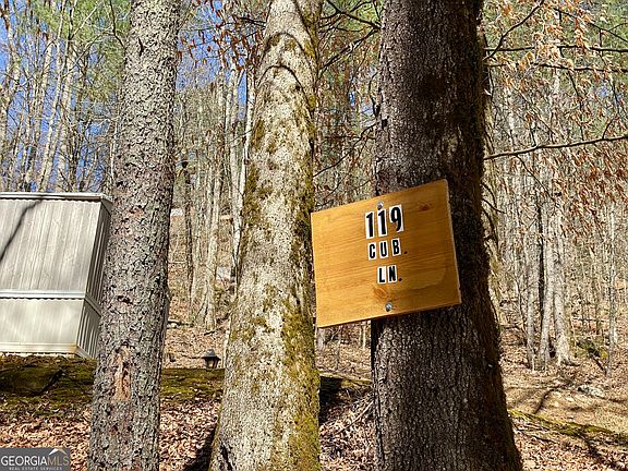 3rd image of 119 Cub Ln