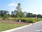 2nd image of 4194 Bradford Dr.