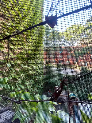 Rented by The Downtown LLC | media 12