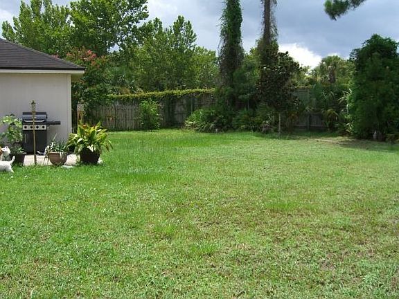 back yard-south view