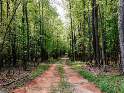 160 G W Bray Rd, Winterville, GA, 30683