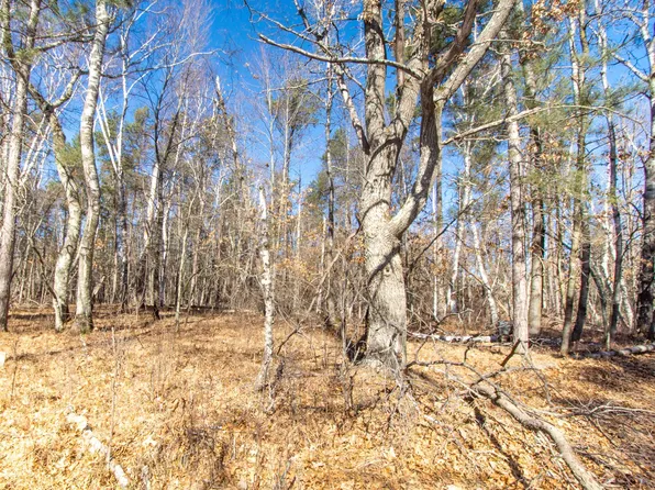 Tbd Violet Ln, Breezy Pt, MN 56472