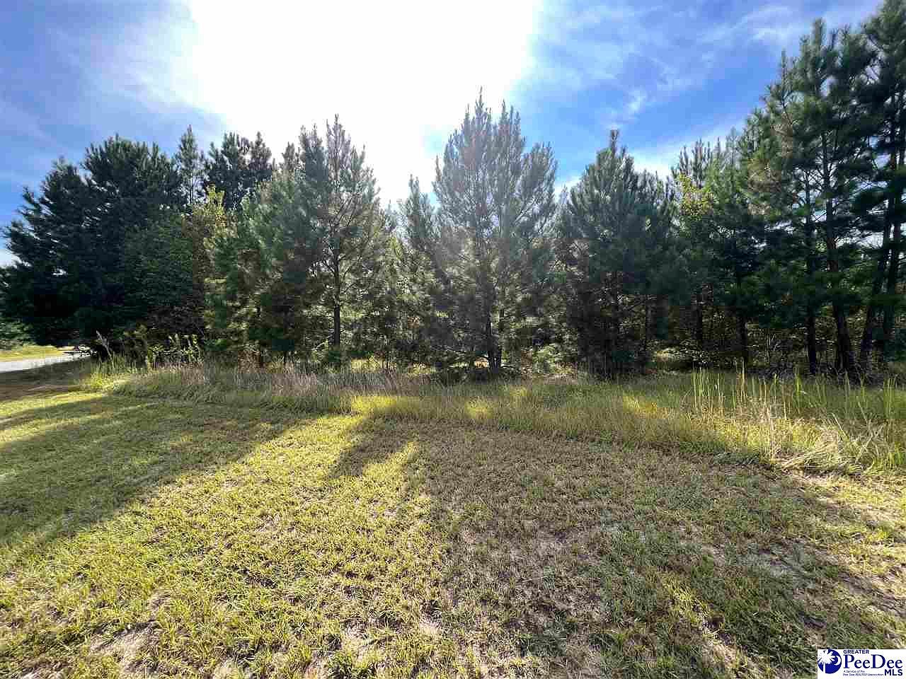 431 Pembroke Blvd, Johnsonville, SC 29555 MLS 20233278 Zillow