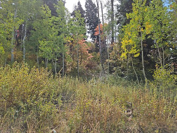 5th image of 29 E Deer Valley Dr S