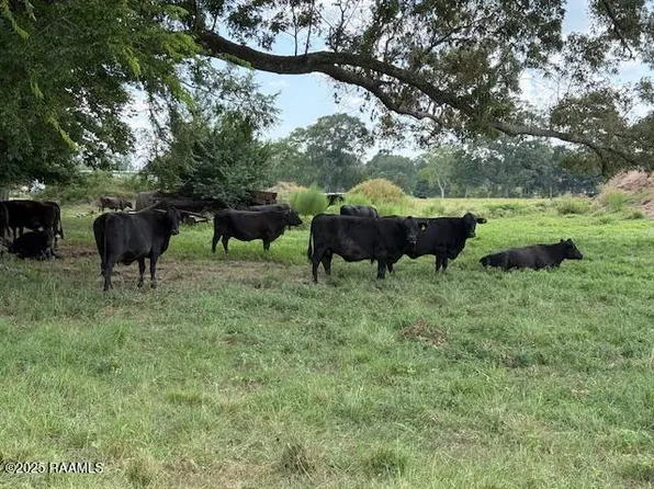 Judice Rd, Sunset, LA 70584