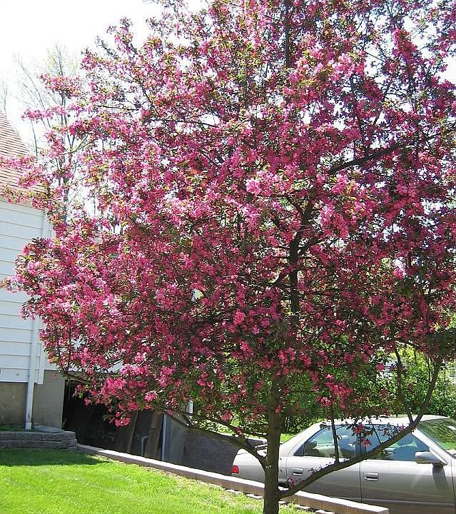 2nd image of 111 Woodlawn Ave