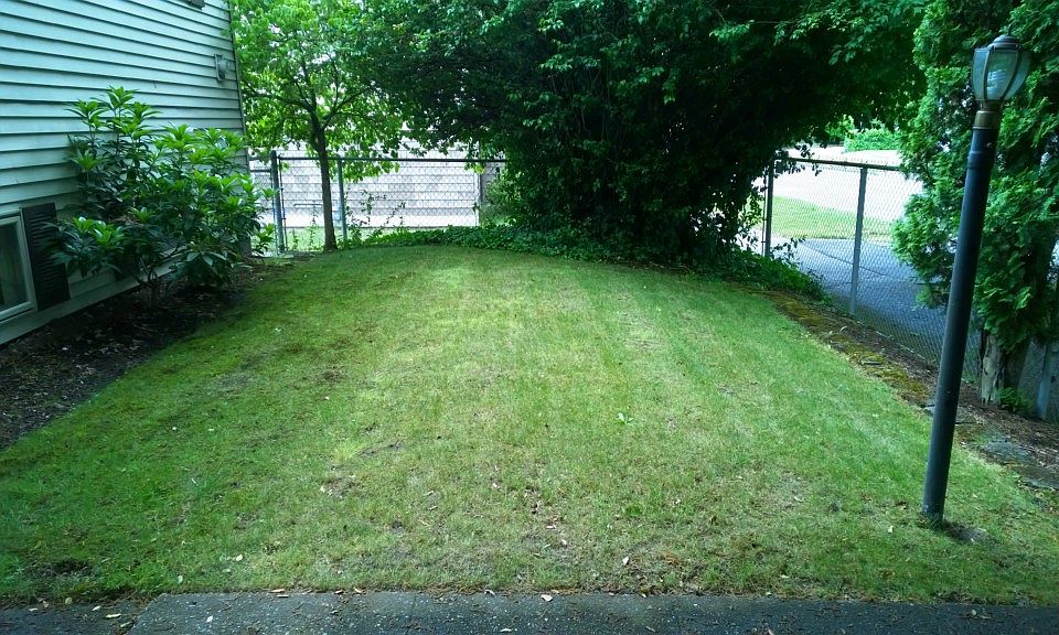 front yard
