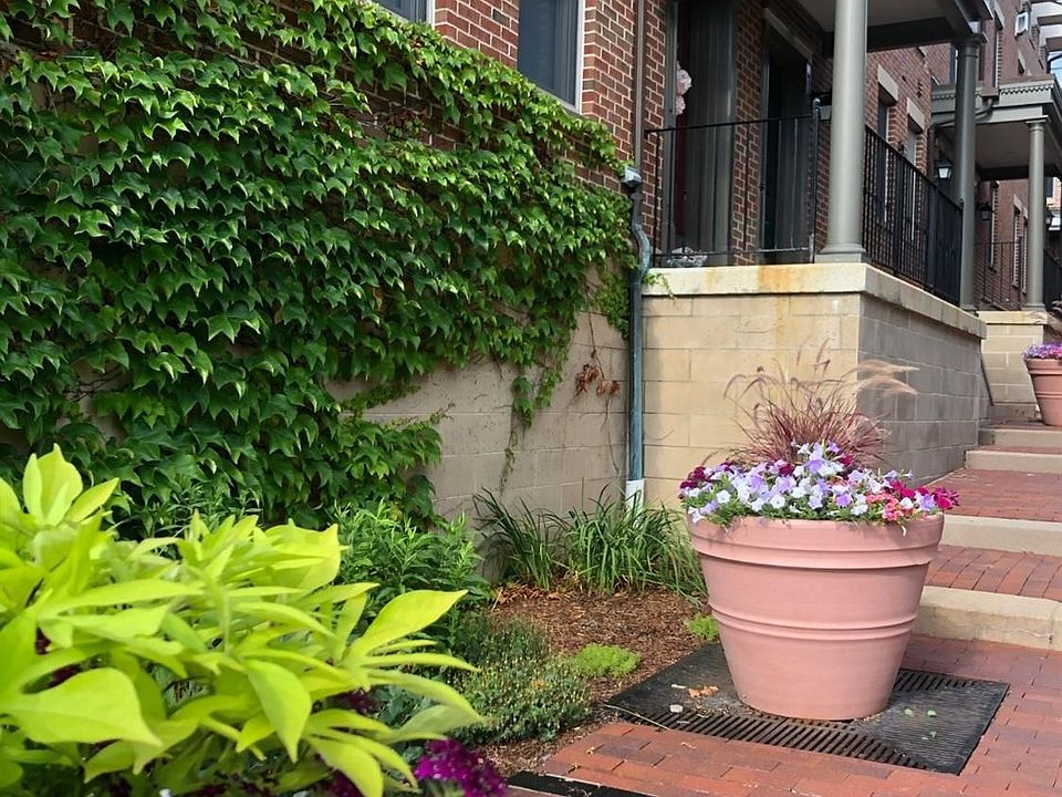 1st image of 172 Ashley Mews Dr #43