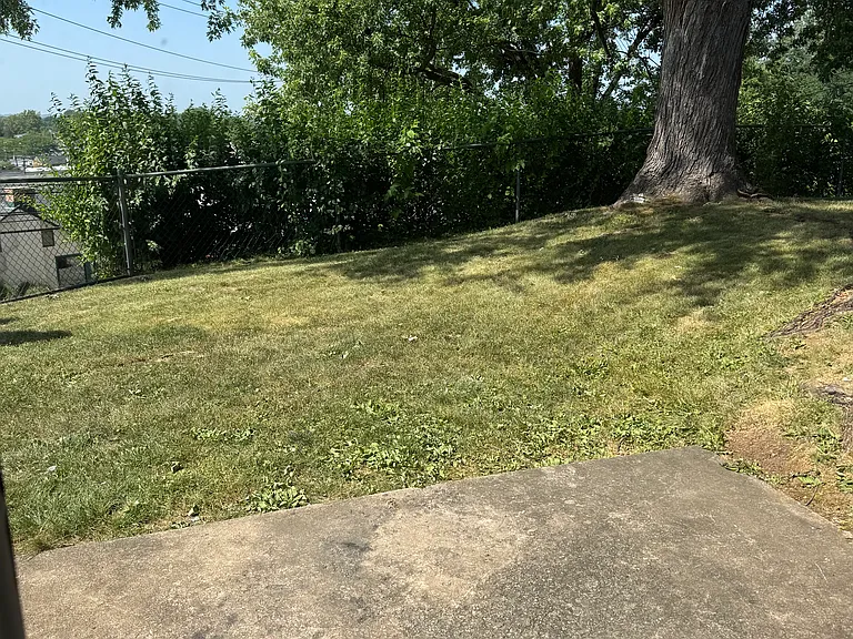 87 Carroll View Ave — Photo 11