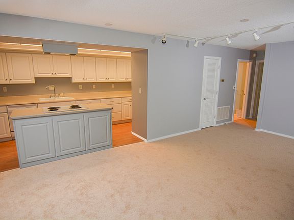 Large Living Room and Kitchen
