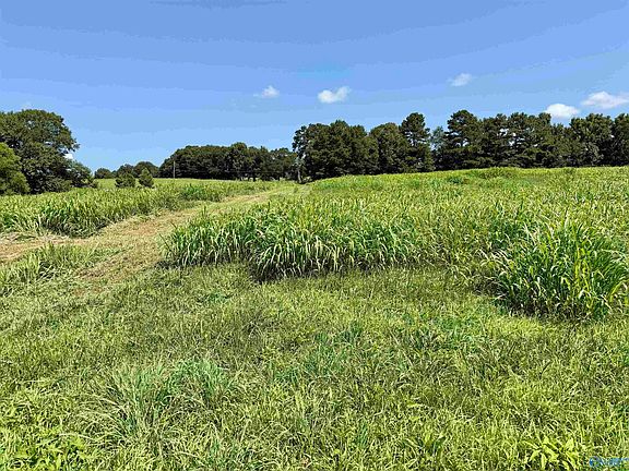 5th image of 22/AC Summerville Rd