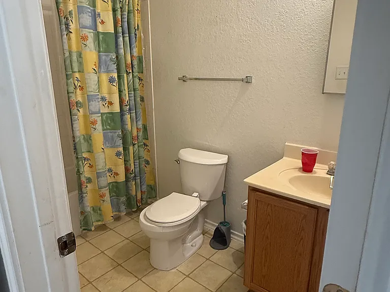 7254 Dwarf Palm — Photo 12