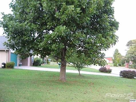 5th image of 2529 Cinema Dr