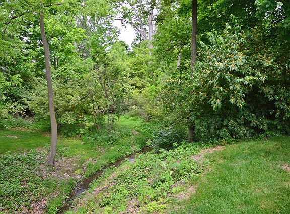 3rd image of 1415 Timberlane Dr