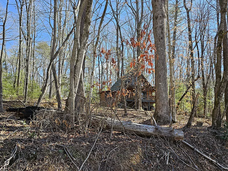 194 Henry Pittman Rd — Photo 4