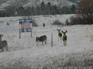 477 N Pine Canyon Rd, Midway, UT 84049