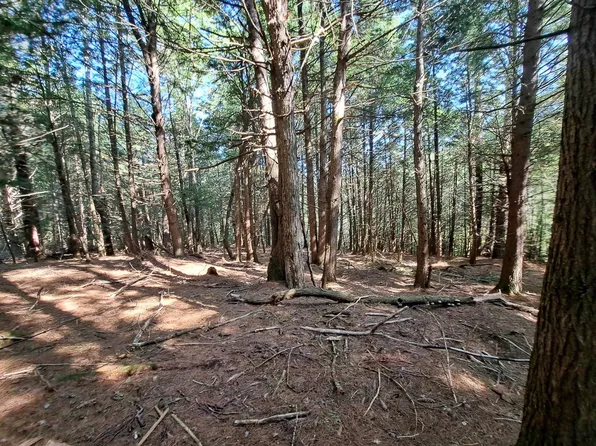 Waterthorn Road #19, Thornton, NH 03223