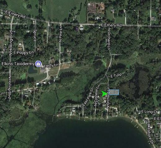 2nd image of Iris Ln