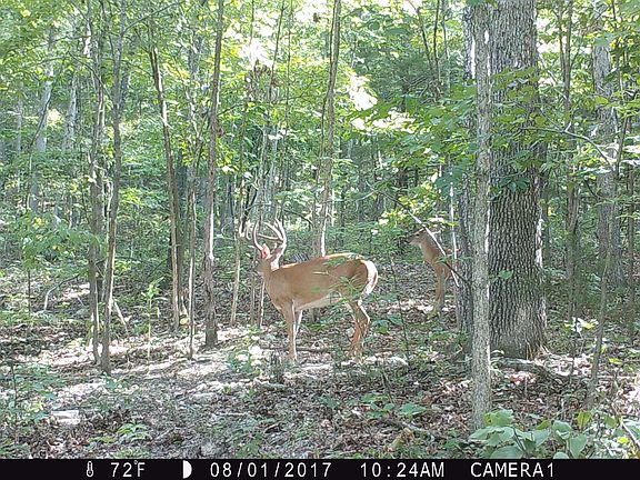 2nd image of 12867 County Road 258