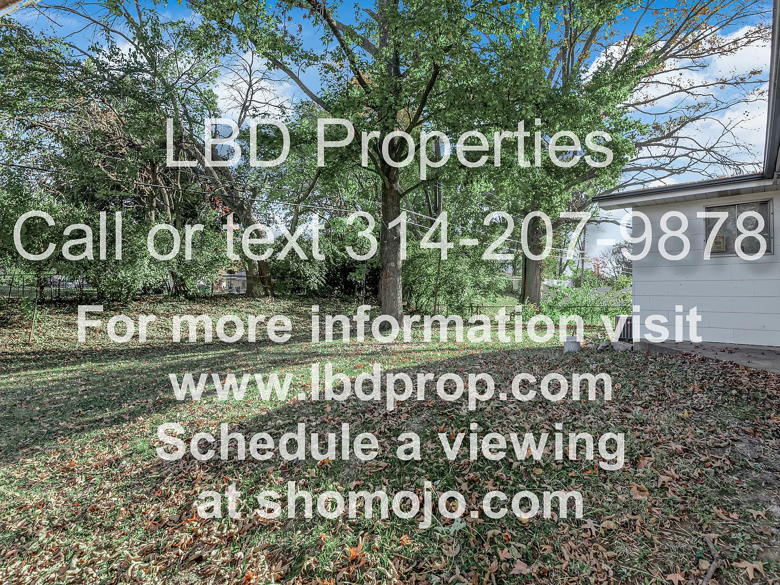815 Lynn Haven Lane (Hoog Holdings) - 1 — Photo 4