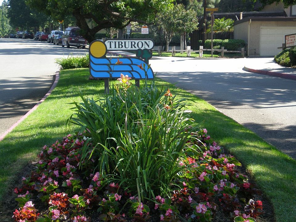 Tiburon Entrance