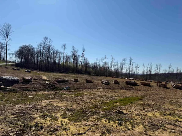 10 Poplar St, Bruceton Mills, WV 26525