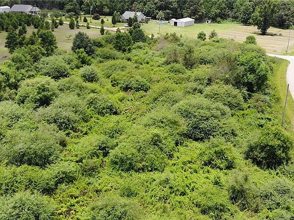 2nd image of Bluebird Rd