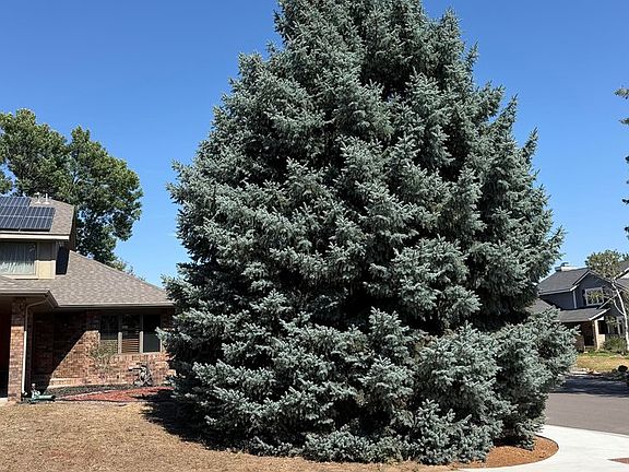 4th image of 4501 23rd St
