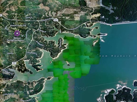 3rd image of Rayburn County