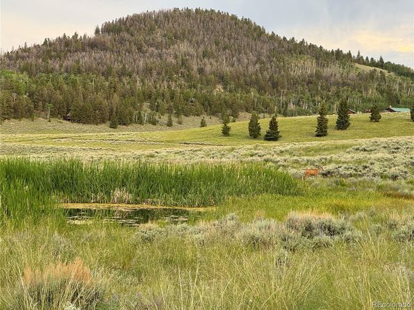 297 Uncompahgre Drive, Powderhorn, CO 81243