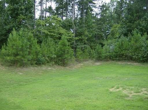 4th image of 4635 Bridle Point Pkwy