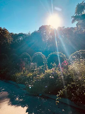 Sold by Corcoran | media 38