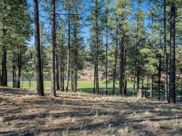 2015 E Barranca Drive #80, Flagstaff, AZ 86005