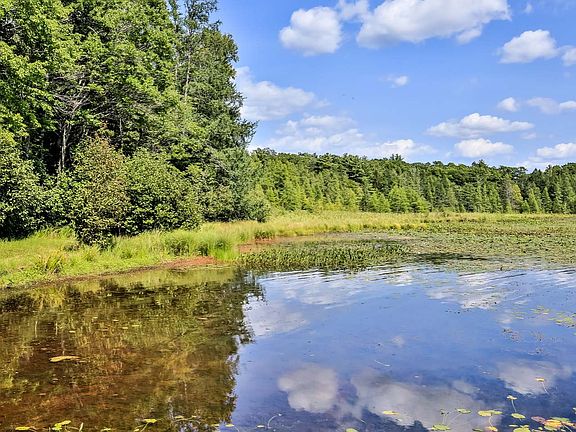 2nd image of N Bolton Lake Ln