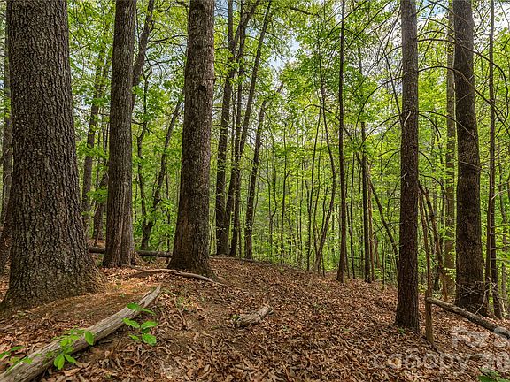3rd image of 0 Pressley Creek Rd