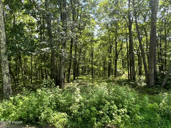 Bloss Rd, Canadensis, PA 18325